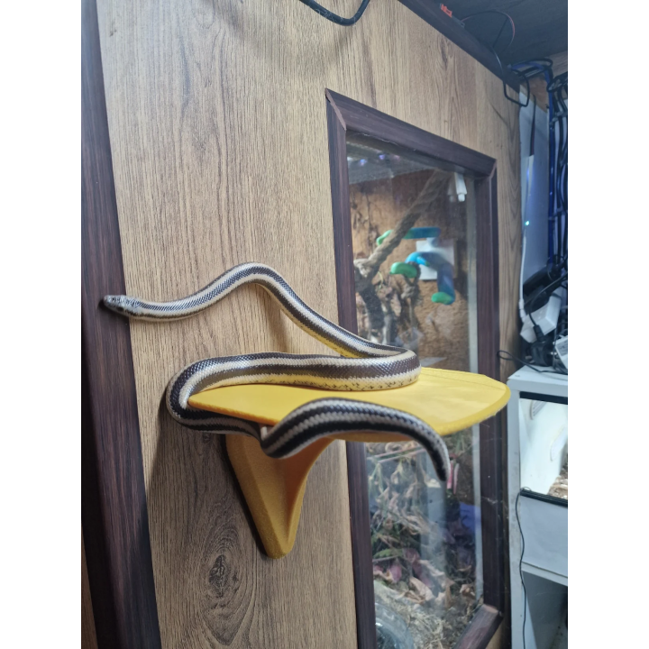 ReptiHaven Basking Shelf with Fast Swop Base (FSB)